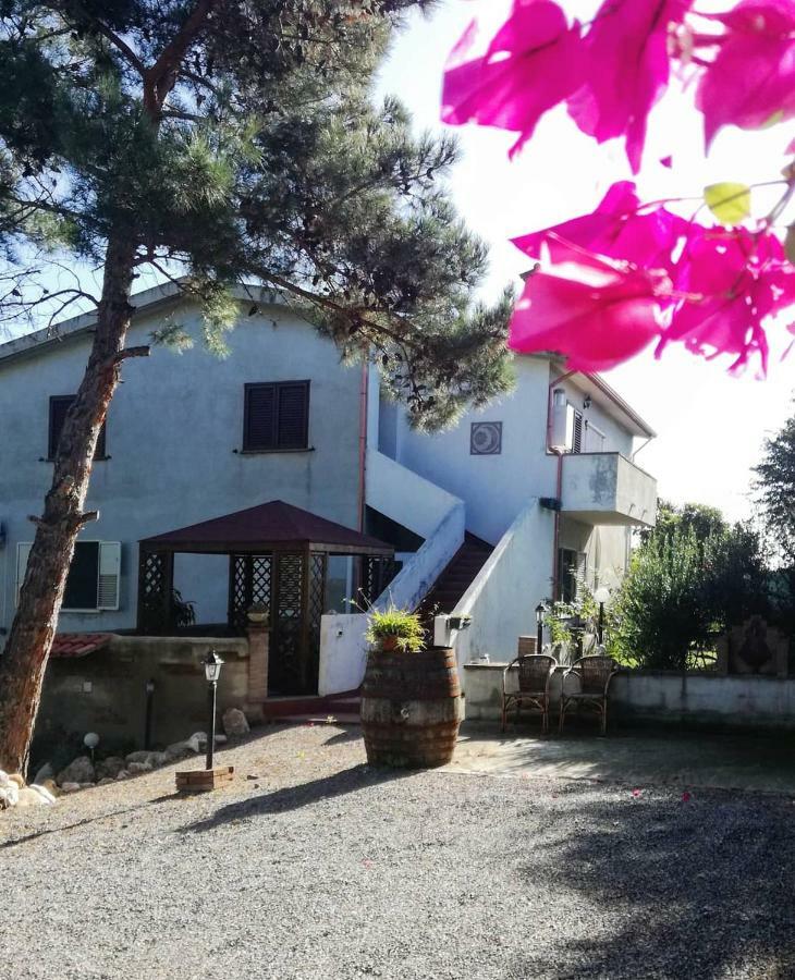 Casa Vacanza Il Mandorlo Domusnovas Екстер'єр фото